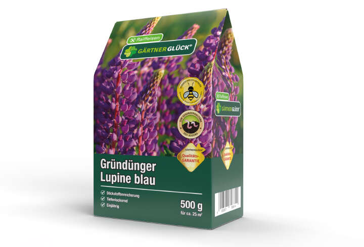 GÄRTNERGLÜCK Gründünger Lupine blau
